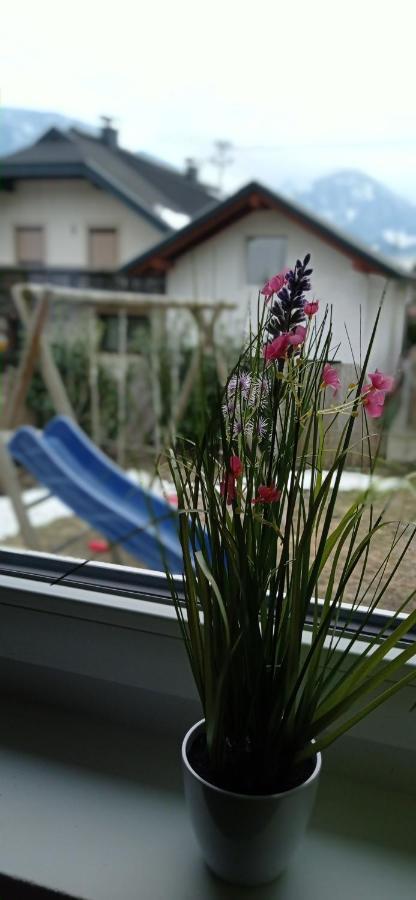 דירות גריפנבורג Haus Elli מראה חיצוני תמונה
