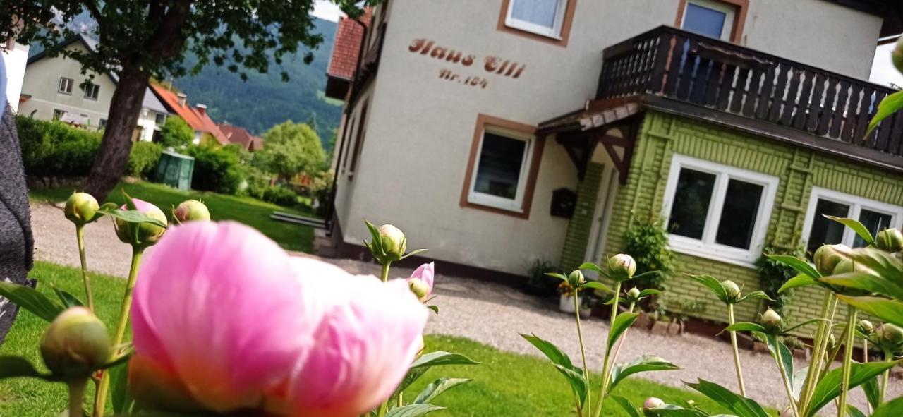 דירות גריפנבורג Haus Elli מראה חיצוני תמונה