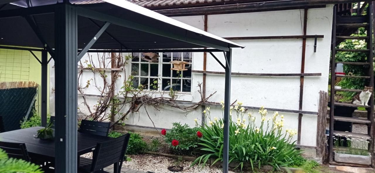 דירות גריפנבורג Haus Elli מראה חיצוני תמונה